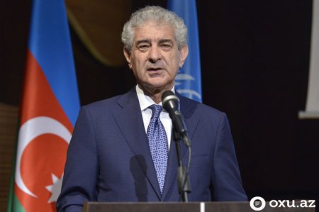 Əli Əhmədov: Belə qanunsuz aksiyaların məqsədi ölkəmizdəki sabitliyi pozmaqdır