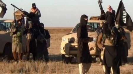İŞİD terrorçuları Suriyadan hara qaçır?
