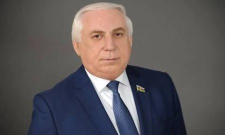 Hadi Rəcəbli: "Çində uşaq pulu yoxdur, əksinə uşağa görə vergi tuturlar"