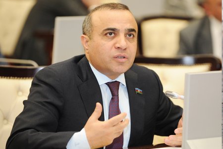 Millət vəkili: Qanunvericilik sahəsində bəzi boşluqlar var