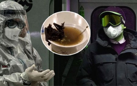 Koronavirus nədən yayılıb? - İlk 3 ehtimal