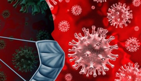 "Koronavirus "quş qripi"ndən daha təhlükəlidir" – Həkimdən bədbin açıqlama