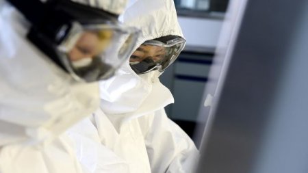 Həkim-infeksionist: “İkinci dalğa qaçılmazdır, daha çox yoluxma...”