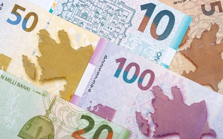 Azərbaycanda gömrük orqanlarının xətti ilə büdcə daxilolmaları 10% azalıb